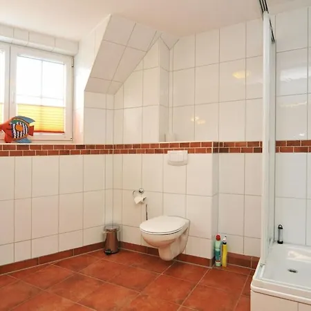 In With Swimming Pool * Цингст