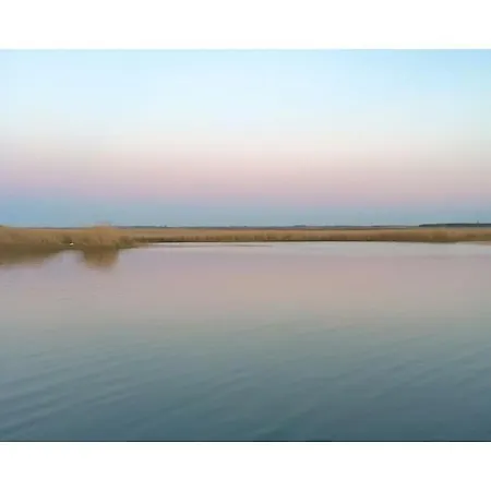 In With Swimming Pool * Цингст