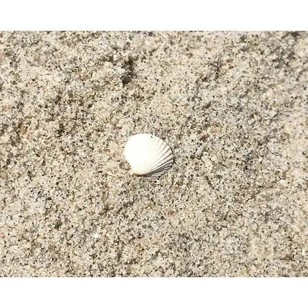 In With Swimming Pool Дом отдыха *